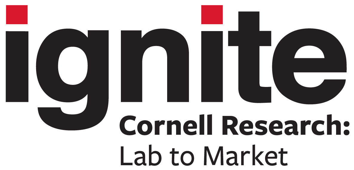 Ignite Logo