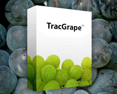TracGrape photo